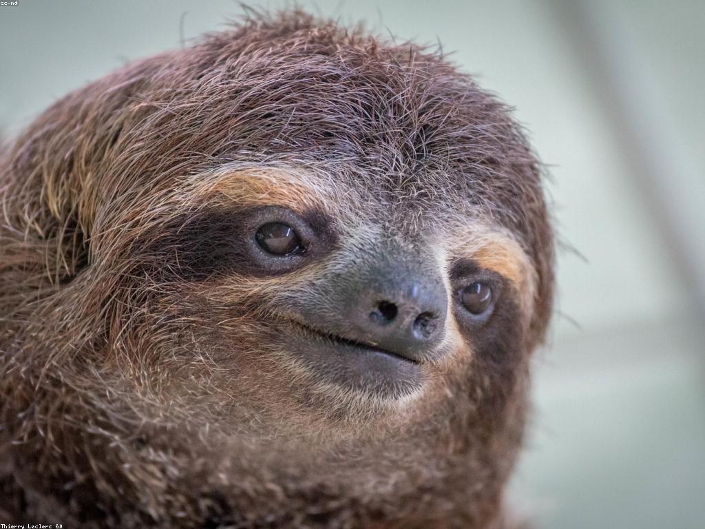 ការវាយតម្លៃស្លុត: សារសំខាន់នៃការវាយតម្លៃ