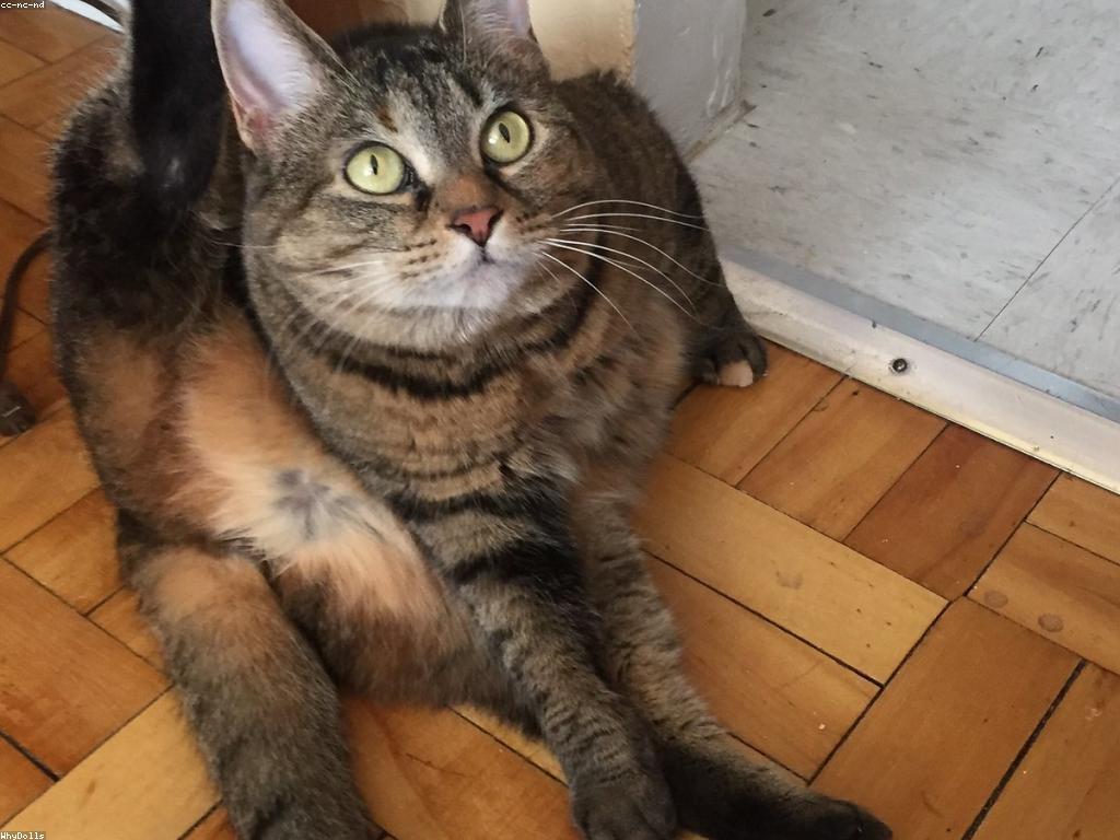 ព័ត៌មានស្លុតថ្មី នឹងវិធីសាស្ត្រការកែលម្អ